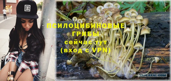 стаф Михайловка