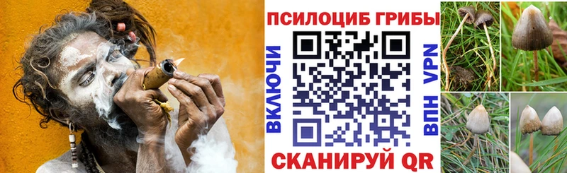 Галлюциногенные грибы Magic Shrooms  Чухлома 