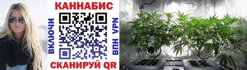 Шишки марихуана SATIVA & INDICA  Чухлома 